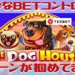 #509【オンラインカジノ｜スロット🎰】BETコントロール本日絶妙❣｜The Dog House｜金無しセミリタイヤ月3万円お小遣い代表