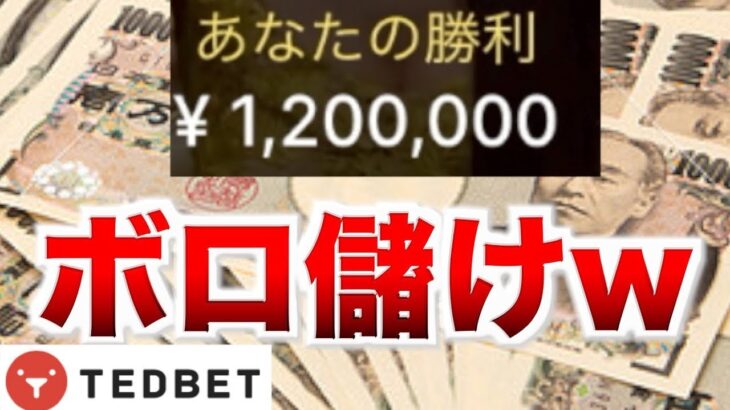 【オンラインカジノ】カジノでボロ儲け テッドベット