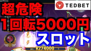 【オンラインカジノ】1回転5,000円スロット挑戦〜テッドベット〜