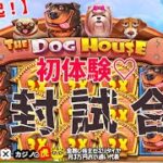 #606【オンラインカジノ｜スロット🎰】しくじり先生の注意喚起！初体験の完封試合！！｜The Dog House｜金無し痔主セミリタイヤ月3万円お小遣い代表