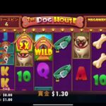The Dog House Megaways 100$チャレン！　#オンカジ  #オンラインカジノ
