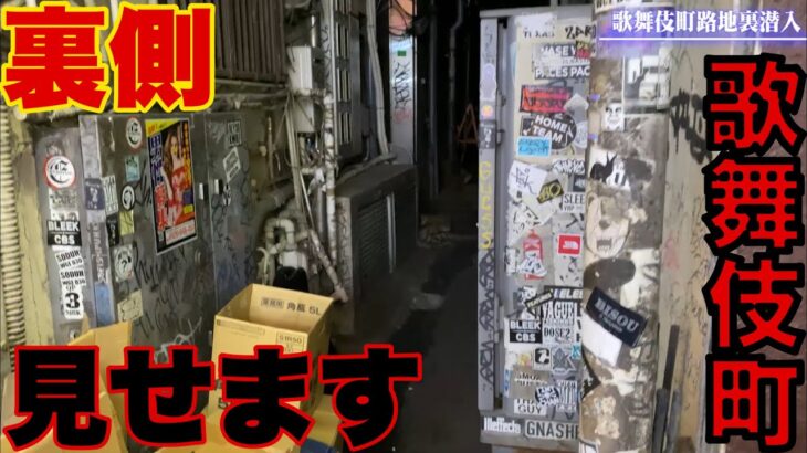 【闇】歌舞伎町の路地裏がディープでdopeでアンダーグラウンド！[Darkness] Kabukicho’s alleyway is deep and dope underground!